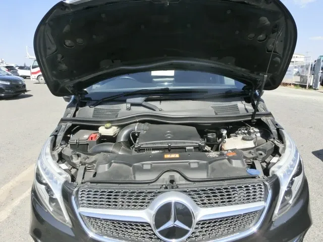 SK5-022385.webp